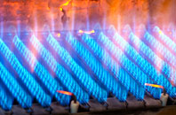 Blandy gas fired boilers